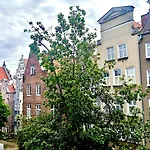 Baltic Old Town - St Mary S Church מלון דירות גדנסק