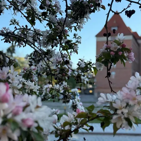 Baltic Old Town 格但斯克