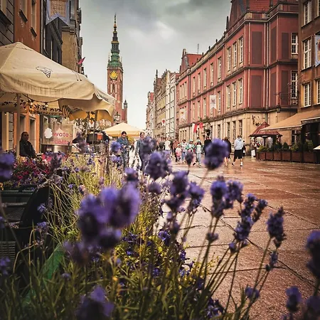 Baltic Old Town 3*