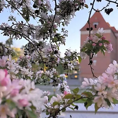 Baltic Old Town Apart-hotel 4*